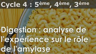 SVT  Cycle 4  COURS  Digestion  analyse de lexpérience sur le rôle de lamylase [upl. by Sherar]