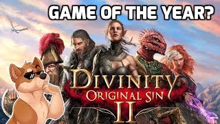 Divinity Original Sin 2  An RPG Masterpiece [upl. by Acisey]