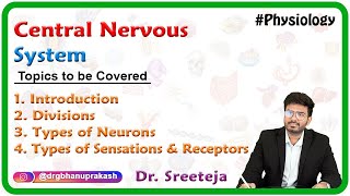 Central nervous system Introduction Divisions Types of neurons Types of sensations and Receptors [upl. by Christalle]