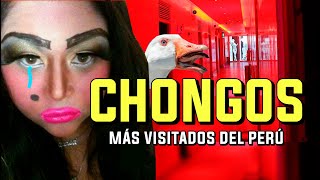 Los 5 CHONGOS ❤️ más visitados del Perú 2020 [upl. by Navac]