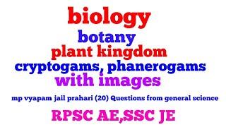 Biology  botany   topic  cryptogams phanerogams for mp vyapam jail prahariSSC jeRpsc ae [upl. by Dinin]