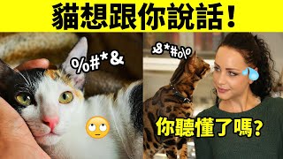 6種貓想跟你說話的表現，你都看懂了嗎？ [upl. by Kurth513]