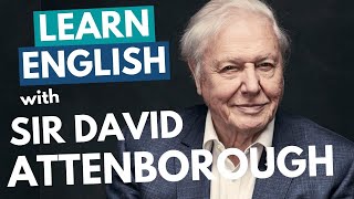 Learn Sir David Attenboroughs British English Accent  Received Pronunciation [upl. by Filberte]