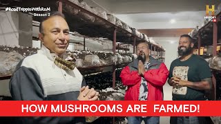 RoadTrippinwithRnM S2  Day 2  Vlog 07  Rocky Mayur  Mushroom Farm  Solan [upl. by Yoshio961]