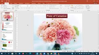 Detailed lecture on carnation [upl. by Acnoib]