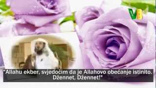 Hurije  Šejh Muhammed elArifi [upl. by Uziel]