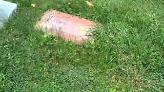 Elder Watson Diggs Grave Location [upl. by Arhas]