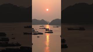 Insane 5 Star Luxury Private Island Resort in Vietnam 🇻🇳 Halong Bay Vinpearl Resort Tour 😲 [upl. by Ekrub]