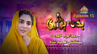 PTV HOME BAKHT HAZARI  Ep13 [upl. by Aikemehs]