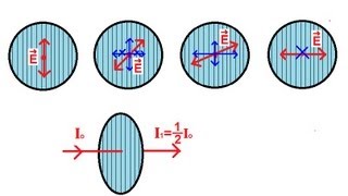 Physics 53 Polarization 1 of 5 Introduction [upl. by Zakarias536]