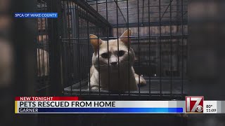 48 pets rescued from Wake County hoarding home SPCA says [upl. by Bolt]