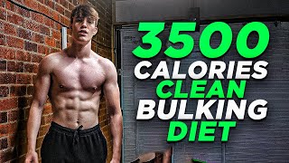 My New 3500 Calorie Clean Bulking Diet [upl. by Uzzia992]