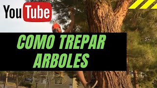 Tutorial para trepar árboles [upl. by Aspasia]