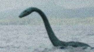 Ogopogo Spotted Has Canadas Version of the Loch Ness Monster Been Caught on Video [upl. by Cann674]