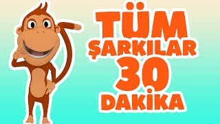 Kukuli  Tüm Çocuk Şarkıları  Tinky Minky ile 30 Dakika Çizgi Film amp Bebek Şarkıları çizgifilm [upl. by Croft702]