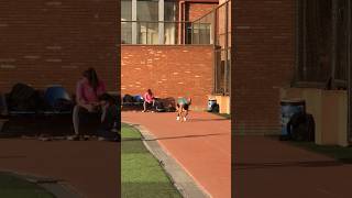 trackandfield sprints shortsfeed motivation sprinting athletics [upl. by Landri]