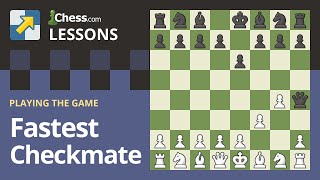 The Fastest Checkmates in Chess [upl. by Bolte]