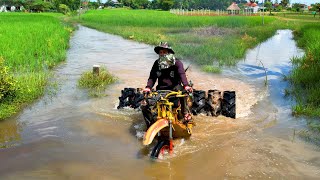 បើកគោយន្តទៅផ្ជួរ  Farmer Tractor Khmer [upl. by Natie]