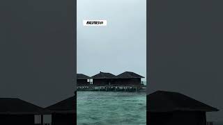 Maldives water villa youtubeshorts youtube travel trending couple love resort tamil telugu [upl. by Kudva]