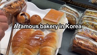 SUB Korean Bakery  cafe in korea  korean cafe  korean cakes  bread [upl. by Alodee773]