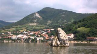 Donau  Beluga geht durchs Nadelöhr [upl. by Ecyt]