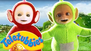 Teletubbies Nederlands  afleveringen 1 uur  kinder programmas  tekenfilms  animatie [upl. by Tiebout]