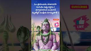 Maha Mrutyunjaya Mantram hinduprayer [upl. by Lennie]