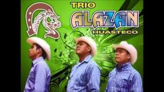 MIX Trio Halcon Huasteco Trio Alazan Huasteco [upl. by Osgood]