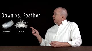 Down vs feather The differences are explained here [upl. by Mandal996]