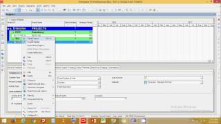 Primavera P6 Add Multiple Activities and WBS in P6 [upl. by Romola]