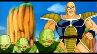 Best Nappa Moments In DBZ Abridged [upl. by Niessuh]