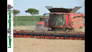 NEW Case 8240 RowTrac à la Moisson 2017  Déchaumage [upl. by Aleac414]