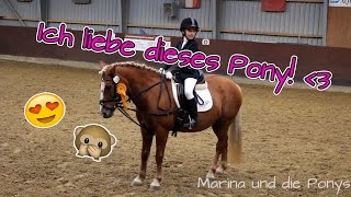 1 Reiterwettbewerb  Turniersieg  Marina und die Ponys [upl. by Leigha]