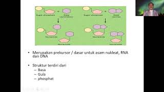 Nukleotida dan Asam Nukleat [upl. by Retloc]