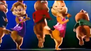 Cute cats dancing on dj vale babu [upl. by Ocramed]