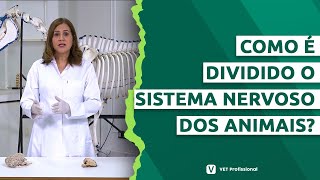 Fisiologia Veterinária  Sistema nervoso [upl. by Ramyar294]