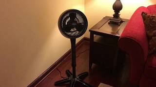 Vornado 683 Pedestal Air Circulator [upl. by Eeznyl]