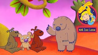 64 Zoo Lane  The Story of the Jimjameree Tree  NEW EPISODE  Cartoon for kids [upl. by Yentrac413]