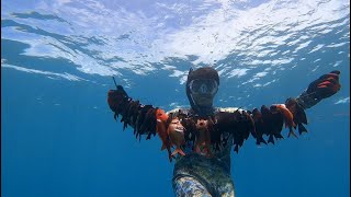 MENPACHI AND KOLE 3 PRONG DIVE SURPRISE CATCH HAWAII SPEARFISHING [upl. by Minta]