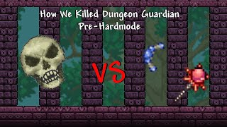 How We Killed Dungeon Guardian PreHardmode [upl. by Tower]