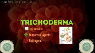 Trichoderma  Biological Agent agent  Protect Plants  Medical and Industrial uses [upl. by Aninay312]