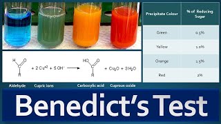 Benedicts Test Principle Procedure Preparation of Benedicts reagent and Result Interpretation [upl. by Aremus]