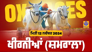 🔴Live Khirnian  Samrala  ਬੈਲ ਗੱਡੀਆਂ ਦੀਆਂ ਦੌੜਾਂ  Ox Races  12 Nov 2024 [upl. by Rick960]