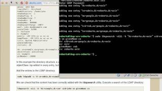 Instalación de OpenLDAP y PHPLdapAdmin [upl. by Athiste]
