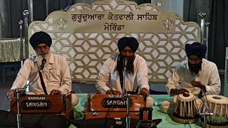 Gurudwara Kotwali Sahib  Live Kirtan  Morinda [upl. by Arly]