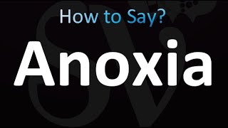 anoxiaexe  help dripix [upl. by Christye567]