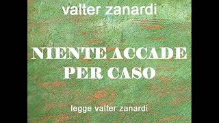 NIENTE ACCADE PER CASO racconto lungo di valter zanardi [upl. by Eiwoh]