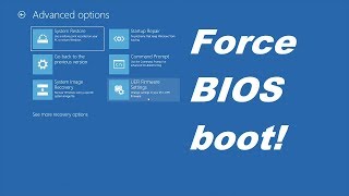 HOW TO Force booting into BIOS [upl. by Tudor770]