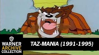 Open  TazMania  Warner Archive [upl. by Novikoff]