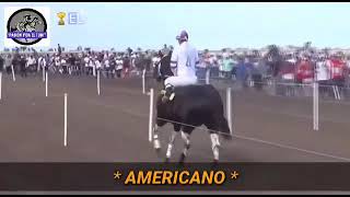 Carreras de Américano el mejor caballo de la Argentina [upl. by Soneson]